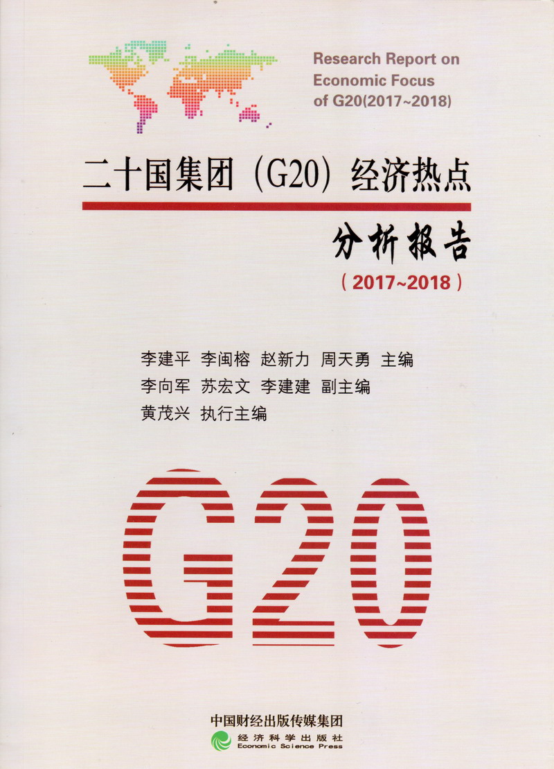 黄色干逼视屏二十国集团（G20）经济热点分析报告（2017-2018）